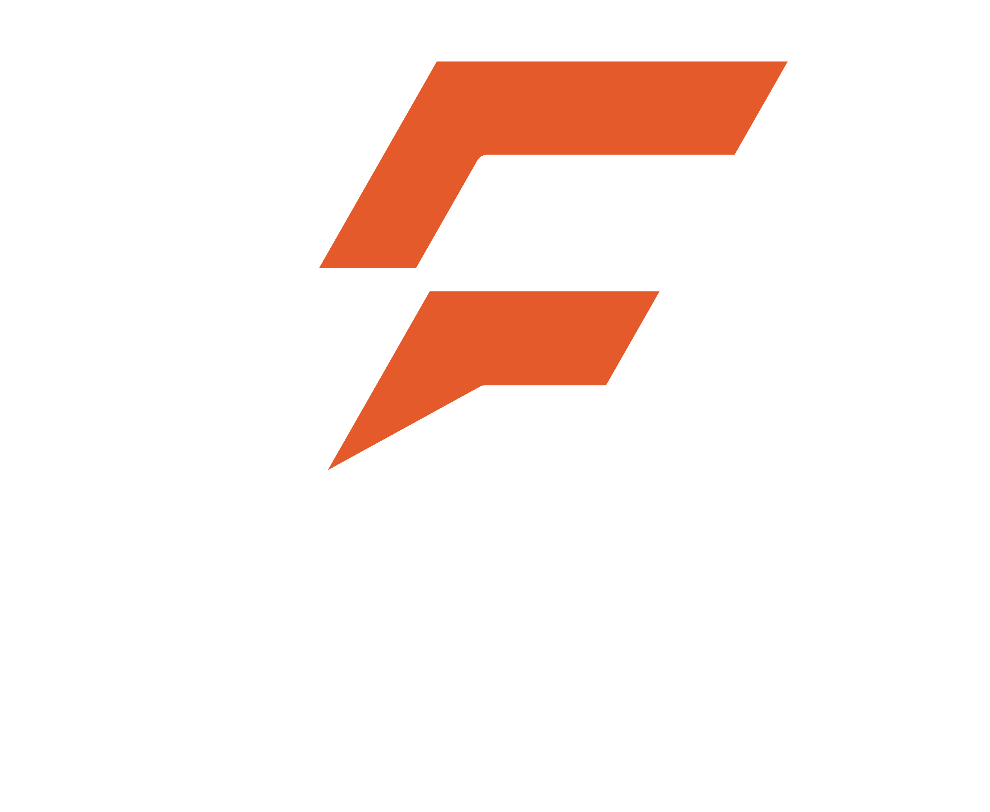 Fan flex logo